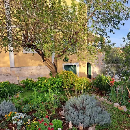 New With An Amazing Pool Апартаменты Сали